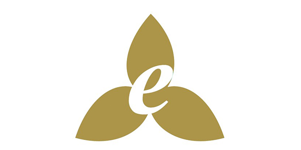 Northern Etone Ltd. Logo